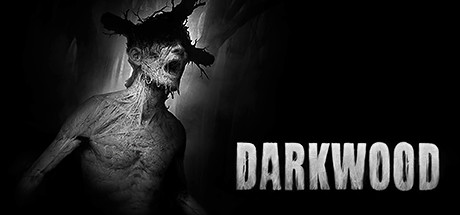 黑色森林/阴暗森林/Darkwood（更新v1.4.2） 冒险游戏-第1张
